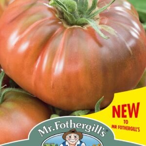 Mr Fothergills Tomato Black Russian 50 Seeds