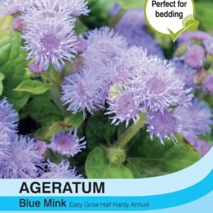Thompson & Morgan Ageratum Blue Mink 1000 Seed
