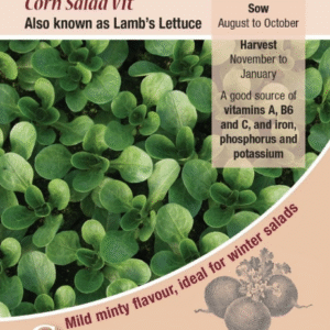 Kings Seeds Salad Leaf Corn Salad Vit (Lambs Lettuce) 450 Seeds