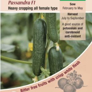 Kings Seeds Cucumber Passandra F1 Hybrid 4 Seeds - Reduced Short Sow By Date Sept 2024