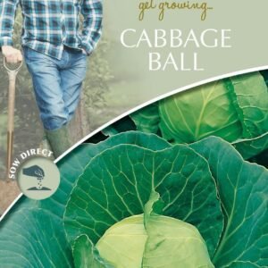 Mr Fothergills - David Domoney - Vegetable - Cabbage Ball - Golden Acre / Primo (II) - 500 Seeds