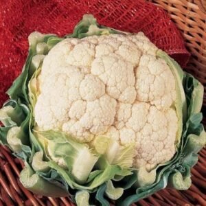 Organic Cauliflower Goodman Seeds