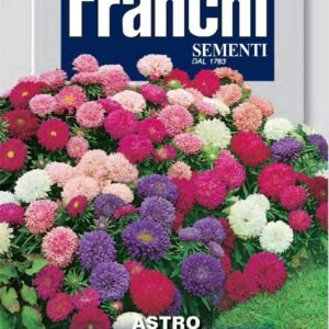 Franchi Seeds of Italy - Flower - FDBF_ 304-8 - Aster - Merveille Multicolour - Seeds