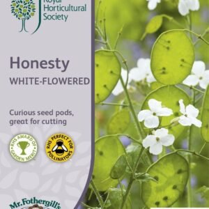 Mr Fothergills RHS Honesty White-Flowered 100 Seeds