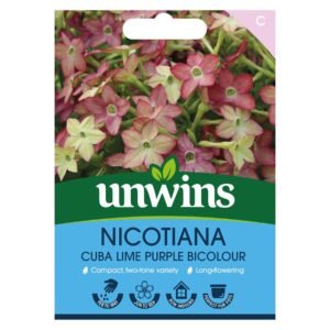 Unwins Flower Nicotiana Cuba Lime Purple Bicolour - 50 Seeds