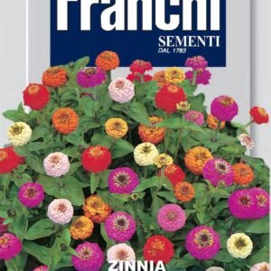 Franchi Seeds of Italy - Flower - FDBF_ 358-10 - Sinnia Nana - Thumbelina Mix- Seeds