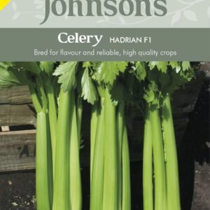 Johnsons Celery Hadrian F1 - 200 Seeds