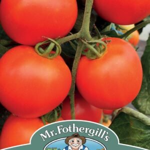 Mr Fothergills Tomato Akron F1 Hybrid - 10 Seeds