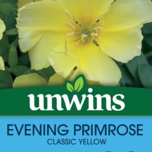 Unwins Wildflower Evening Primrose 200 Seeds