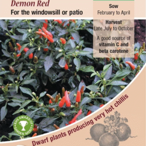 Kings Seeds Chilli Pepper Demon Red 15 Seeds