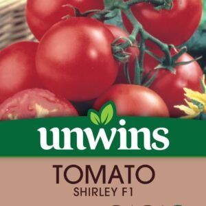 Unwins Tomato Shirley F1 Hybrid 12 Seeds