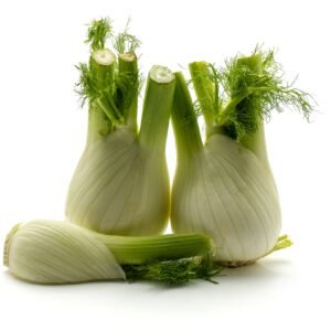 Fennel Sweet Florence Seeds