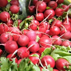 Radish Cherry Belle Seeds
