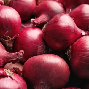 Onion Red Brunswick Seeds