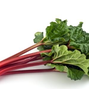 Kings Seeds  Rhubarb Glaskins Perpetual Seeds