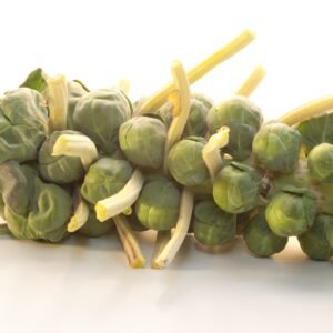 Kings Seeds Brussels Sprout Marte F1 Seeds