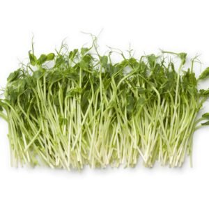 Suffolk Herbs Pea Shoots Serge Seeds