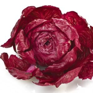 Chicory Rossa di Verona Seeds