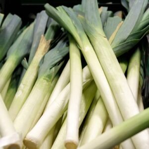 Leek Musselburgh Seeds