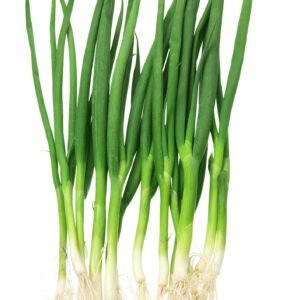 Organic Spring Onion White Lisbon Seeds