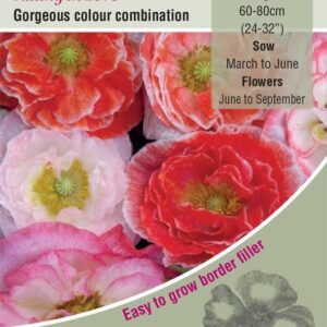 Kings Seeds  Poppy Falling In Love Seeds