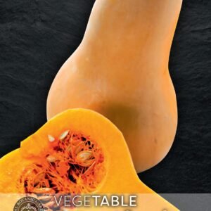 Thompson & Morgan Kew Vegetable Squash Winter Butternut Hunter F1 - 10 Seeds