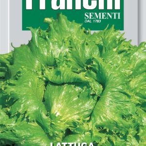 Franchi Seeds of Italy Lettuce Regina Delle Ghiacciole Seeds