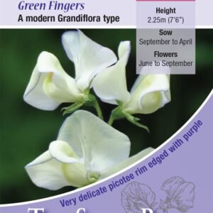Kings Seeds Sweet Pea Greenfingers 20 Seeds