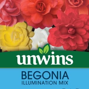 Unwins Begonia Illuminations Mix 50 Seeds