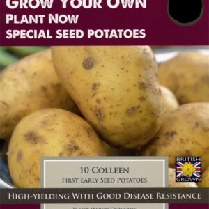 Taylors - Seed Potatoes - Colleen - 8 Tubers - First Early