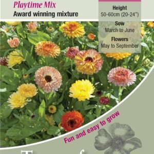 Kings Seeds  Calendula Playtime Seeds