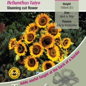 Kings Seeds  Sunflower Taiyo Seeds