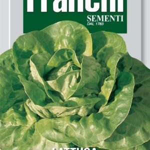 Franchi Seeds of Italy Lettuce Regina D'Estate 2 - Seeds