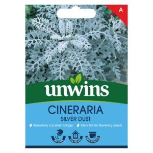 Unwins Flower Cineraria Maritima Silver Dust Seeds