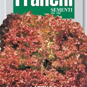 Franchi Seeds of Italy Lettuce Lollo Rossa (Spumiglia) Seeds