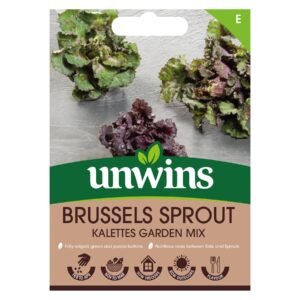 Unwins Vegetable Brussels Sprout Kalettes Garden mix - 30 Seeds