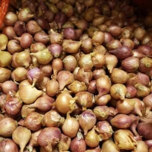 Onion Sets Pink Panther