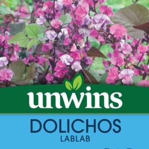 Unwins Dolichos Lablab 10 Seeds