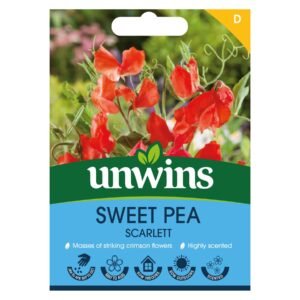 Unwins Flower Sweet Pea Scarlett - 21 Seeds