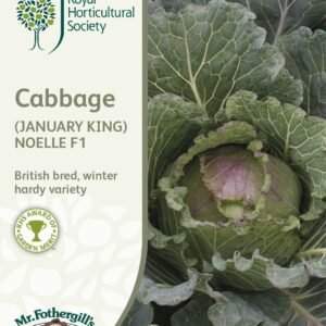 Mr Fothergills RHS Cabbage (January King) Noelle F1 50 Seeds