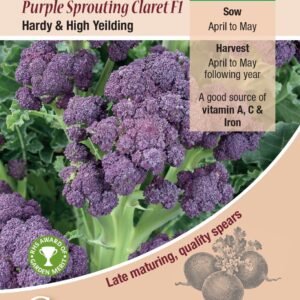 Kings Seeds  Broccoli Purple Sprouting Claret F1 Seeds