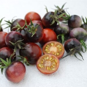 Tomato Indigo Blue Berries Seeds