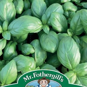 Mr Fothergills Basil Dolce Vita 300 Seeds