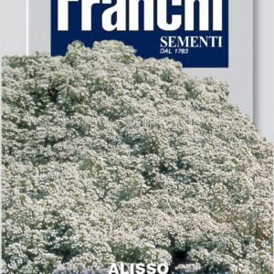 Franchi Seeds of Italy - Flower - FDBF_ 301-2 - Alyssum - Nano Tappeto Di Neve - Seeds