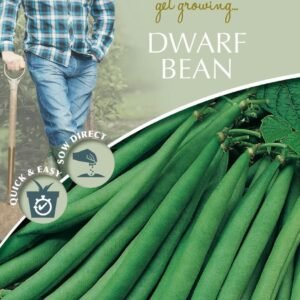 Mr Fothergills - David Domoney - Vegetable - Dwarf Bean - Ferrari - 60 Seeds