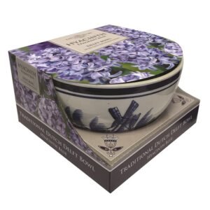 Taylors - Gift - Blue Hyacinth Delft Bowl Showcase - 3 bulbs