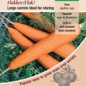 Kings Seeds Carrot Flakee (Flak) 700 Seeds