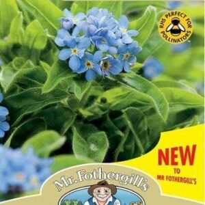 Mr Fothergills - Wild Flower - Field Forget Me Not - 500 Seeds