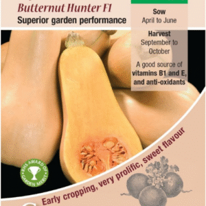 Kings Seeds Squash Winter Butternut Hunter F1 - 10 Seeds