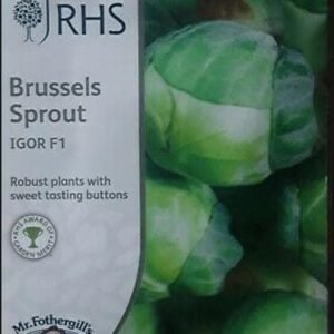Mr Fothergills - RHS Vegetable - Brussels Sprout Igor F1 - 30 Seeds